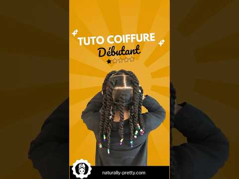 TUTO Coiffure Facile et rapide : 10 Sections et Twists